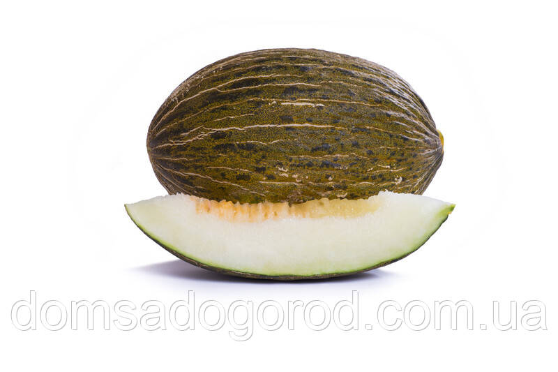 Диня Фінура F1 | Finura F1 Rijk Zwaan 100 н