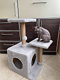 Кігтеточка і будиночок для кішок Дряпка Лежанка для кота Ігровий комплекс, фото 3