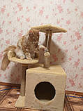 Дряпка Будиночок для кота Дряпка для кішок Стійка кігтеточка для котів з лежанкою, фото 3