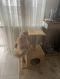 Дряпка Будиночок для кота Дряпка для кішок Стійка кігтеточка для котів з лежанкою, фото 5