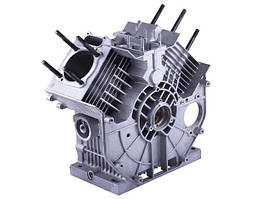 Блок двигуна TT AGRO MOTO на дизельний двигун 2V195F