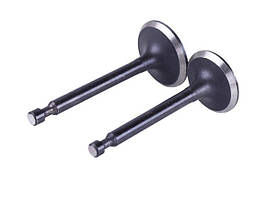 Клапани TT AGRO MOTO на бензиновий двигун P70F