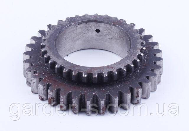 Шестірня первинного вала Z-31/32 Jinma 200/204/240/244