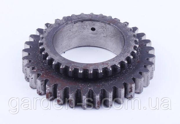 Шестірня первинного вала Z-31/32 Jinma 200/204/240/244, фото 1