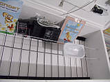 Інкубатор побутової Гусиня на 54 яйця з автоматичним переворотом, фото 6