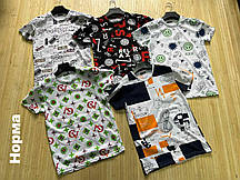 Футболки чоловічі (S-XXL) Туреччина оптом купити від складу 7 км Одеса