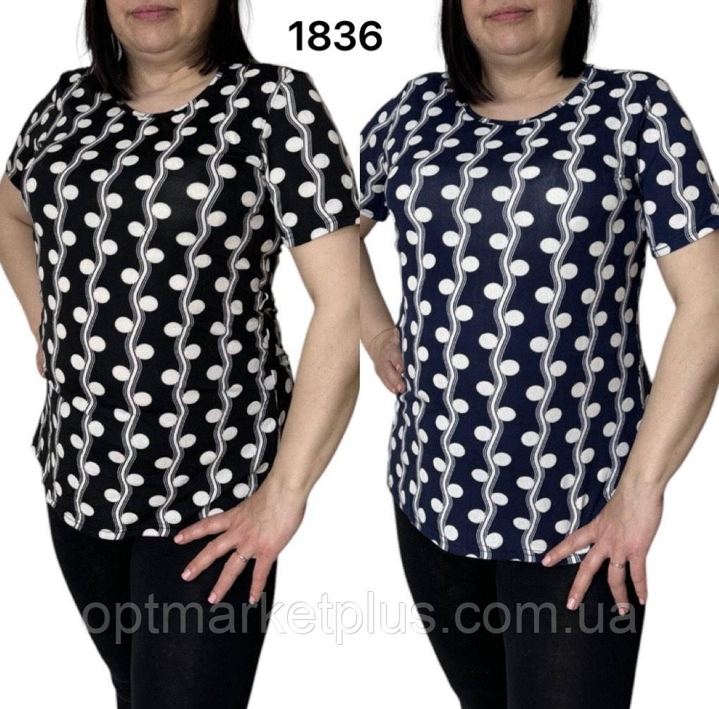 Футболки жіночі (48-56) гуртом купити від складу 7 км Одеса