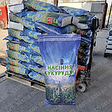 Насіння кукурудзи Даніїл ФАО 280 – високоврожайний гібрид для зерна та силосу, фото 2