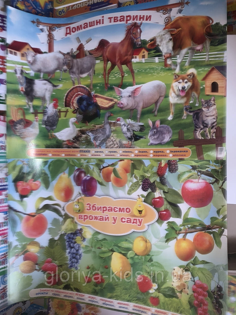 Плакати Домашні тварини + Врожай в саду