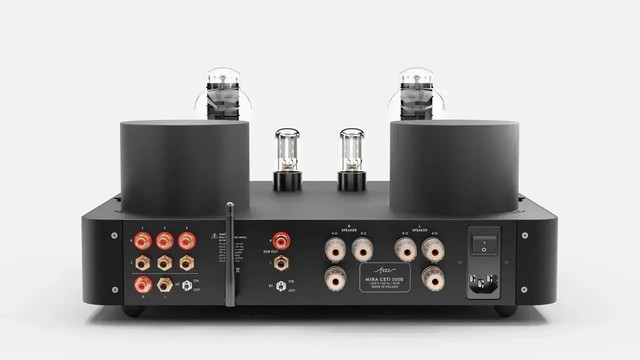 Fezz Mira Ceti 300B (моно) Fezz Mira Ceti 300B (моно)