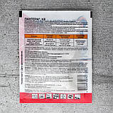 Гербіцид Пантера 40 мл Спектр Сад, фото 2