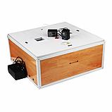 Інкубатор побутової Гусиня на 54 яйця з автоматичним переворотом, фото 2