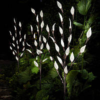 Вуличний садово-парковий ліхтар Sirius SLP41 (наземний)