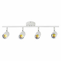 Нашийник для собак шкіряний WAUDOG Design з QR паспортом, малюнок "Рік та Морті 1", L, Ш 25 мм, Д 38-49 см