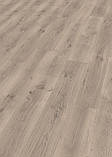 Ламінат EGGER дуб Піно світло-сірий 32 клас 8 мм Aqua24, фото 2