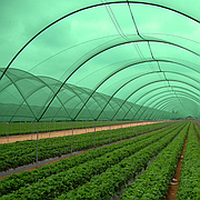 Сітка затіняюча «Agreen»