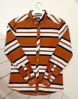 Сорочка чоловіча коричнева в смужки, Туреччина L