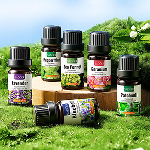 Набір ефірних олій Sadoer Fragrance Essential Oil Set, 6х10мол., фото 2