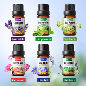 Набір ефірних олій Sadoer Fragrance Essential Oil Set, 6х10мол., фото 3