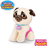 Інтерактивний мопс із сюрпризом Pets Alive Pooping Puppies 9542D, фото 4