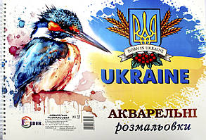 Розмальовка А3 12арк. "Акварельна" №9455/Фолдер/(4)(15)