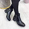 Черевики чорні жіночі шкіряні на невисокому каблуці, фото 5