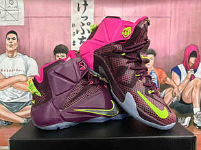 Nike LeBron 12 Double Helix високі баскетбольні кросівки