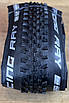 Покришка на велосипед 29x2.25 Schwalbe Racing Ray (57-622) Performance, TwinSkin, ADDIX, B/B, фото 3