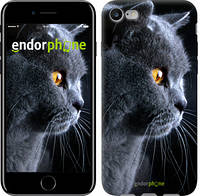 Чехол на iPhone 7 Красивый кот "3038c-336"
