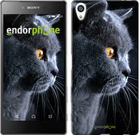 Чехол на Sony Xperia Z5 Premium Красивый кот "3038u-345"