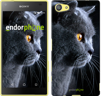 Чохол на Sony Xperia Z5 Compact E5823 Красивий кіт "3038u-322"