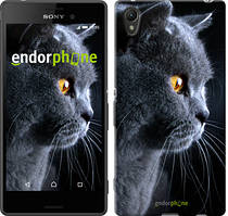 Чохол на Sony Xperia XA Красивий кіт "3038c-399"