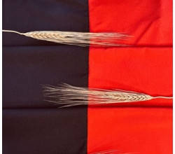 Прапори УПА