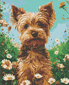 Алмазна мозаїка/вишивка Тварини. Йоркширський тер'єр 40*50 см Орігамі OD 30470