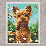 Алмазна мозаїка/вишивка Тварини. Йоркширський тер'єр 40*50 см Орігамі OD 30470, фото 5