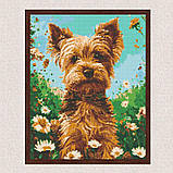 Алмазна мозаїка/вишивка Тварини. Йоркширський тер'єр 40*50 см Орігамі OD 30470, фото 7