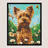 Алмазна мозаїка/вишивка Тварини. Йоркширський тер'єр 40*50 см Орігамі OD 30470, фото 6
