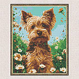 Алмазна мозаїка/вишивка Тварини. Йоркширський тер'єр 40*50 см Орігамі OD 30470, фото 4
