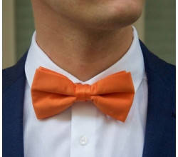 Краватки та метелики з вишивкою