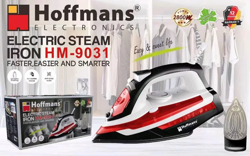 Парова електрична праска 2800 Вт Hoffmans HM-9031 Mg