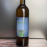 Питний мед Яблуко 2024 р 750 мл, фото 2