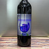 Питний мед Чорниця-Лісова 2024 р 750 мл, фото 2