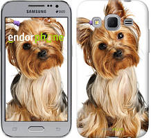 Чохол на Samsung Galaxy Core Prime VE G361H Йоркширський тер'єр із хвостиком "9304-211"