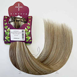 Натуральне Європейське Волосся на Заколках 40 см 110 грам, Меліроване №12/60A