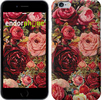Чохол на iPhone 6 Квітучі троянди "2701c-45"