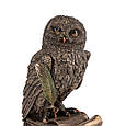 Декоративна статуетка "Мудра сова" з полістоуну від італійського бренду Veronese висота 15 см, фото 4