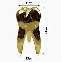 Золотий зуб сувенір подарунок великий