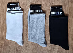 Чоловічі шкарпетки "Клевер" з посиленою резинкою, рифлені, 3 кольори – розмір 41–45