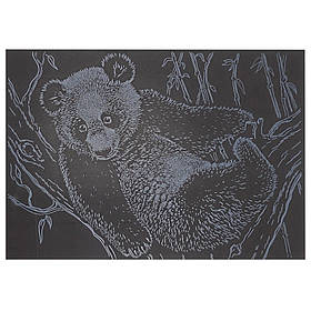 Гравюра А5 "Панда" Danko Toys ГрА5с-21 економ-варіант у пакеті 21 х 14,8 см, Toyman