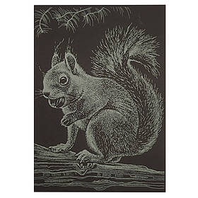 Гравюра А5 "Білочка" Danko Toys ГрА5з-13 економ варіант у пакеті 21 х 14,8 см, Toyman